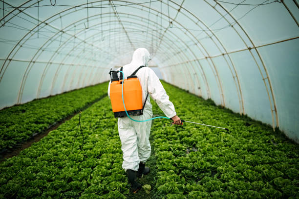 Best Affordable Pest Control Services  in Sneads Ferry, NC