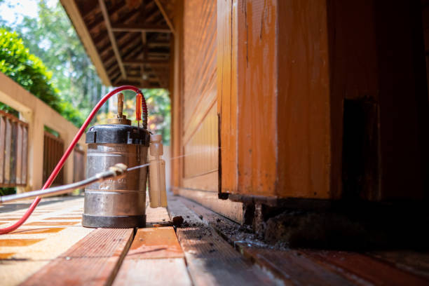 Best Pest Control for Homes  in Sneads Ferry, NC