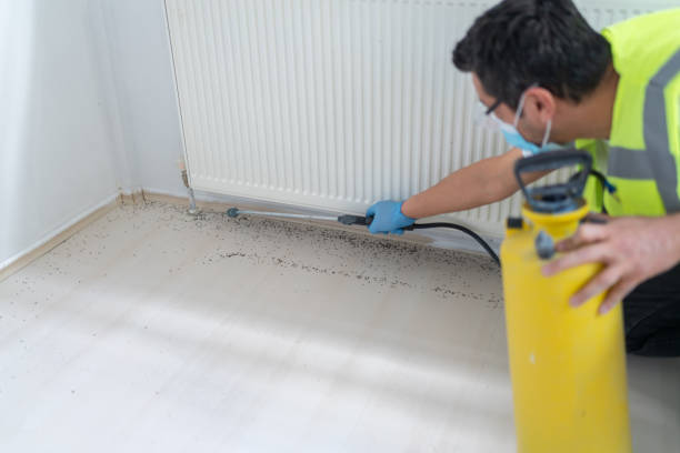 Pest Control for Restaurants in Sneads Ferry, NC