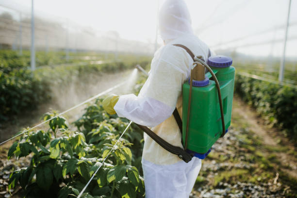 Best Affordable Pest Control Services  in Sneads Ferry, NC